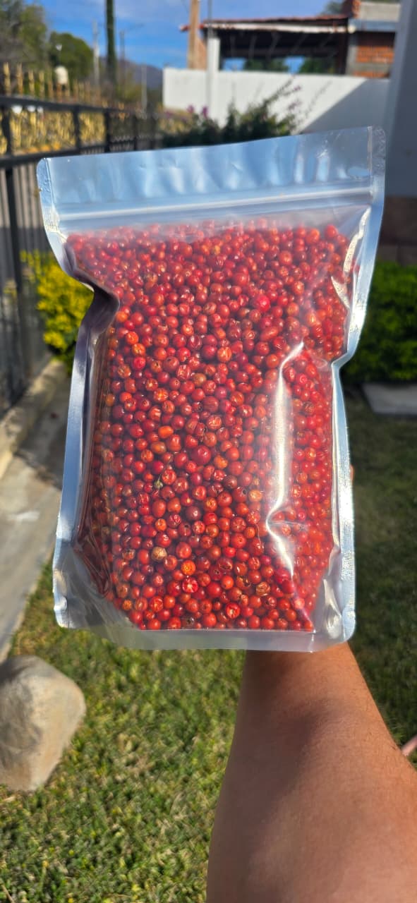 Chiltepin premium de sonora oficial