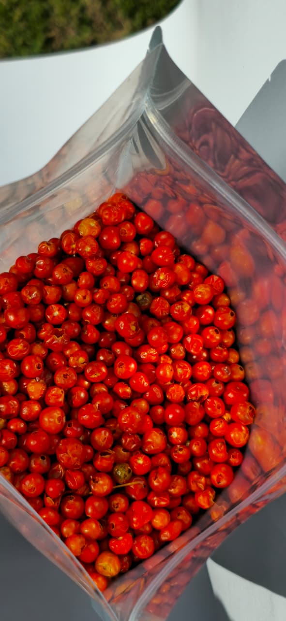 Chiltepin premium de sonora oficial